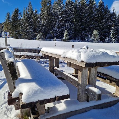 Wohlfuehl-Appartement Bergsee Family - Am Wildsee - Sup Und Schlitten For Free Seefeld in Tirol Exterior photo