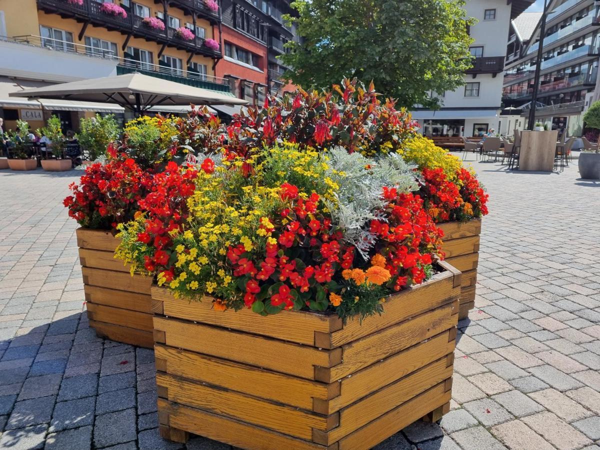 Wohlfuehl-Appartement Bergsee Family - Am Wildsee - Sup Und Schlitten For Free Seefeld in Tirol Exterior photo