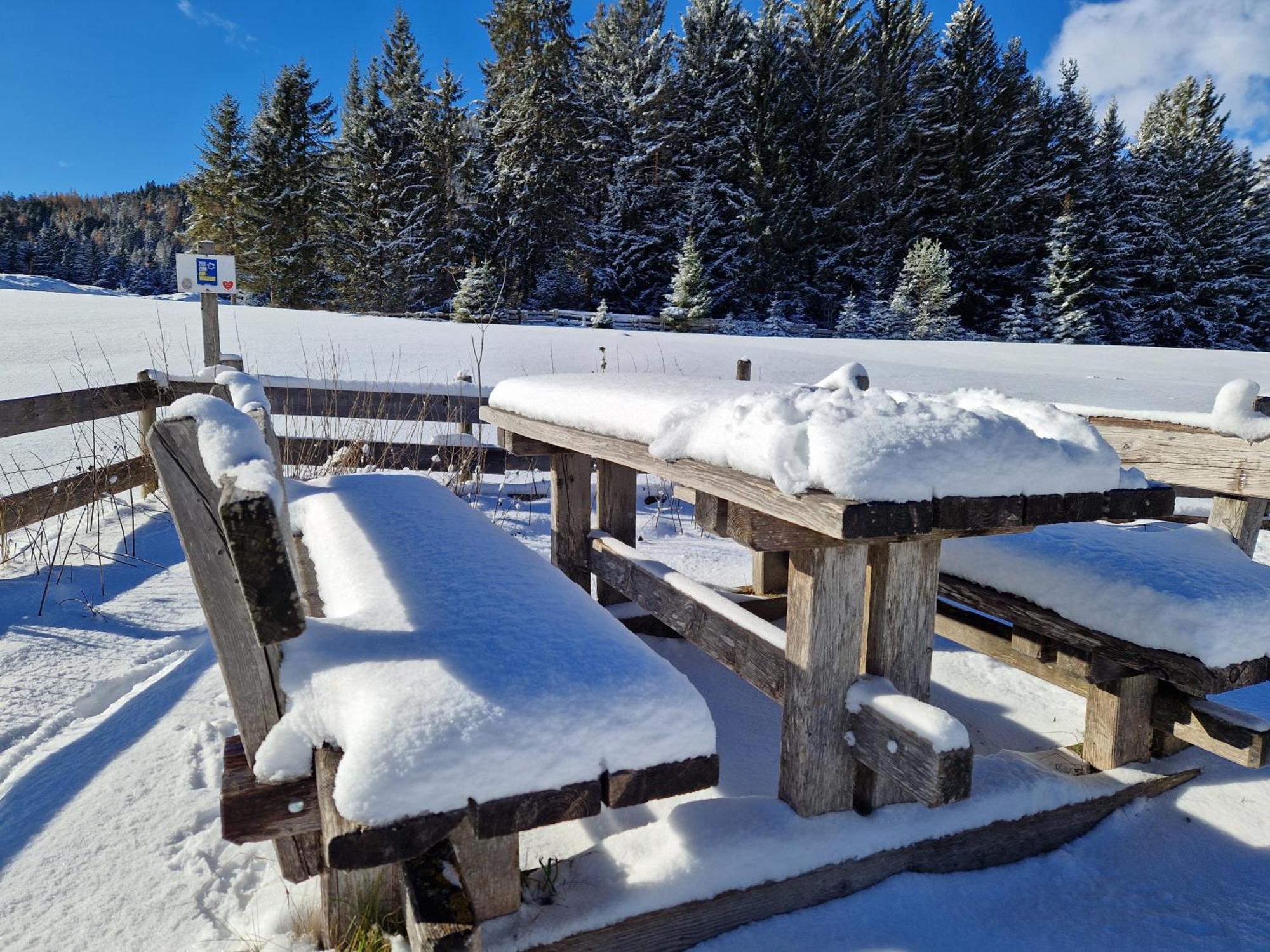 Wohlfuehl-Appartement Bergsee Family - Am Wildsee - Sup Und Schlitten For Free Seefeld in Tirol Exterior photo