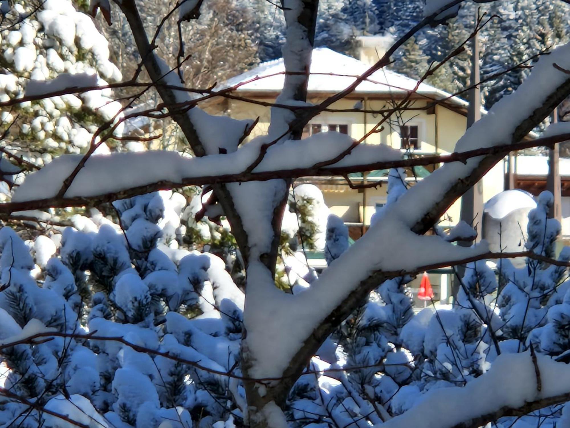 Wohlfuehl-Appartement Bergsee Family - Am Wildsee - Sup Und Schlitten For Free Seefeld in Tirol Exterior photo
