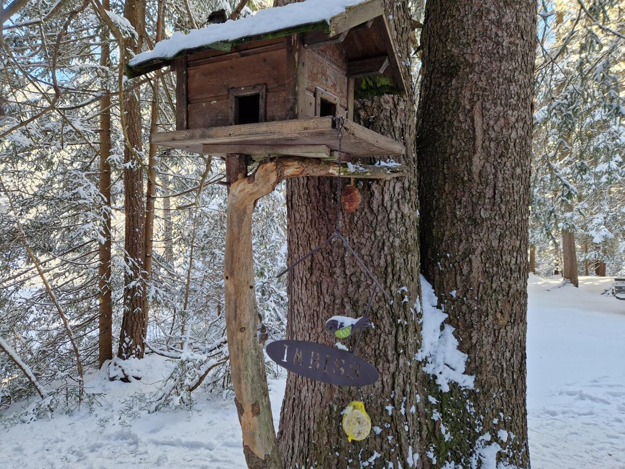 Wohlfuehl-Appartement Bergsee Family - Am Wildsee - Sup Und Schlitten For Free Seefeld in Tirol Exterior photo